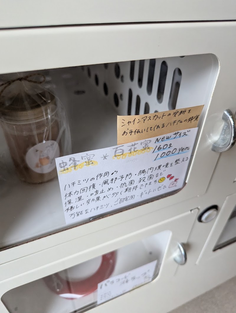 商品画像
